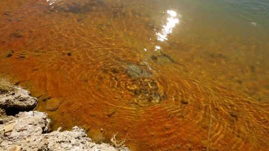 C玛旁雍错湖底特写4K实拍视频视频素材模板下载