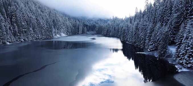 寒冷的冬天湖泊森林云雾雪景雪松合集