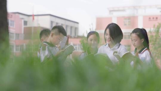 校园 中小学生 学习