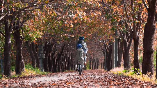 父子情深 深秋季节公园内骑双人单车视频素材模板下载