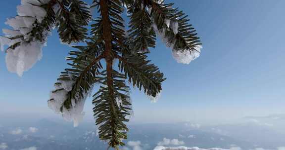 高清实拍瓦屋山冬天雪景雪山森林