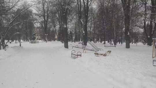 冬季森树木雪景