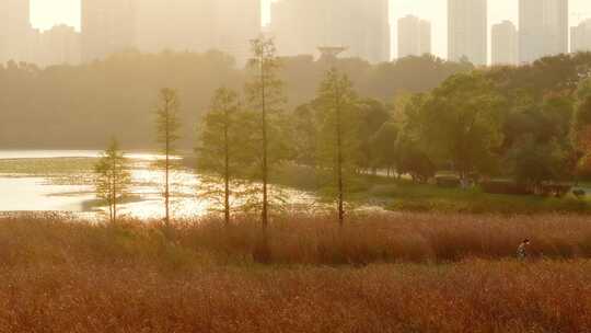 4k长沙梅溪湖公园秋景