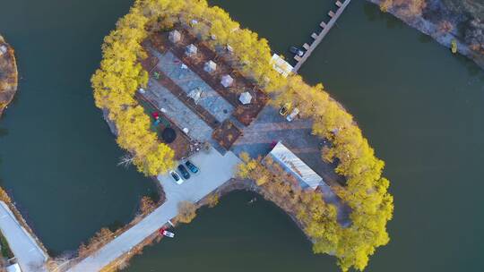 北京怀柔怀沙河下游湿地秋季风光航拍视频