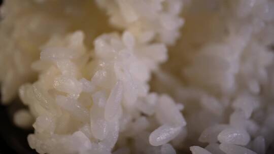 主食水稻大米饭视频素材模板下载