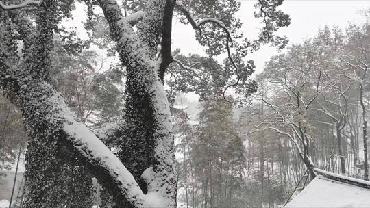 航拍城市风光长沙雪景古建筑岳麓书院雪景