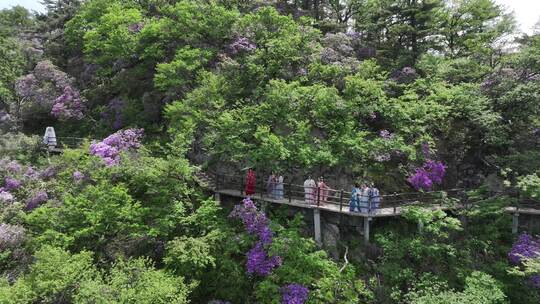 河南伏牛山山脉平顶山尧山层峦叠嶂的山峰