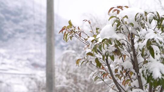 新农村景区冬天下雪雪花飘舞雪景景观7