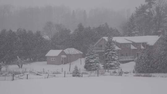 大雪覆盖了森林家园