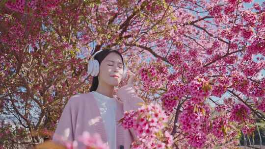 樱花树下听音乐的少女