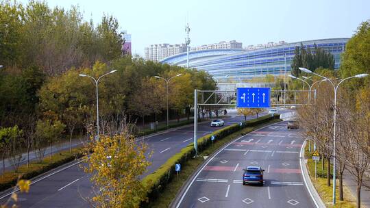实拍北京金秋蜿蜒曲折的公路两边金黄的树林
