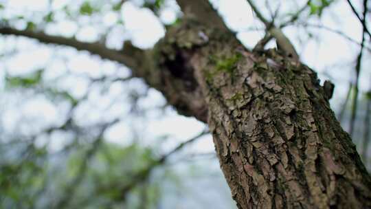 沧桑古建木雕屋檐特写