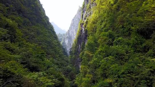 深山大峡谷