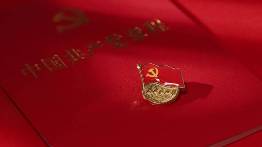 光影扫过中国共产党章程和党徽