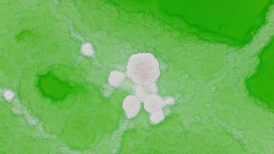 绿色的盐湖视频素材模板下载