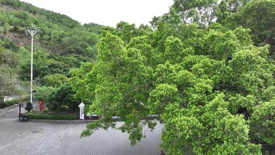 中国广东省汕尾市海丰县新山村红色旅游区