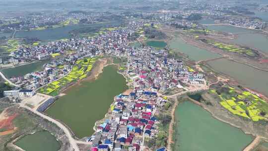 九江市都昌县周溪镇鄱阳湖湿地航拍自然风光