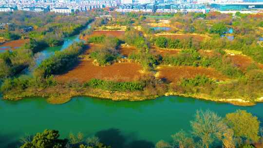 杭州西湖区西溪湿地美景风景视频素材