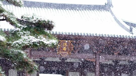 杭州德寿宫冬天下雪花纷飞升格慢镜头