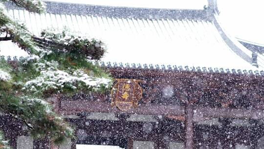 杭州德寿宫冬天下雪花纷飞升格慢镜头视频素材模板下载