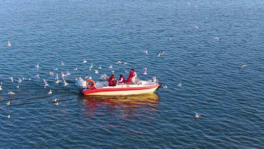 航拍滇池游船与海鸥