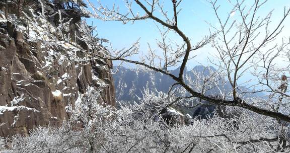 安徽黄山冬天雾凇美景