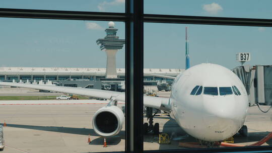 机场航站楼窗外的客机
