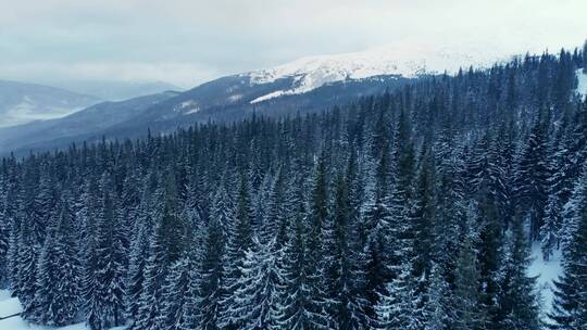 冬季雪山森林航拍视频素材模板下载