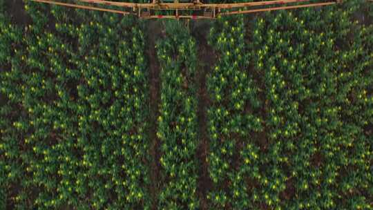 拖拉机在田间处理农业植物的鸟瞰图