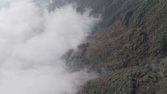 贵州高原日出云海下的森林风景风光