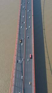 城市航拍武汉鹦鹉洲大桥竖屏航拍