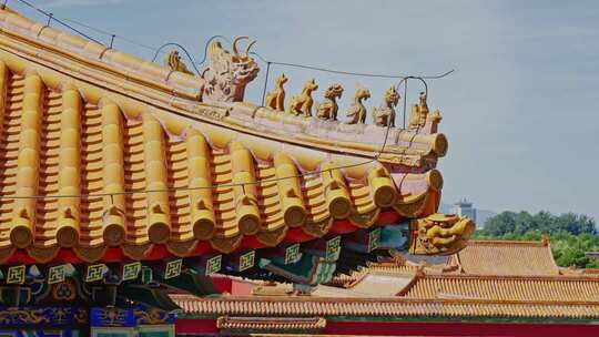 故宫宫殿屋脊兽0285