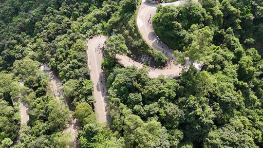 广东观音山国家森林公园第十二届登山大赛