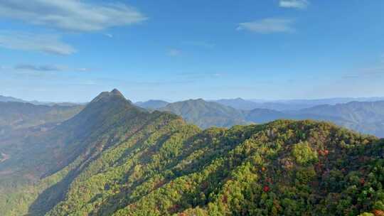 秦岭森林秋色