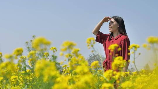 春天中国女性美女在油菜花田地中玩耍