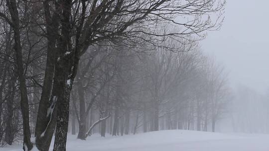 冬天暴雪特写镜头