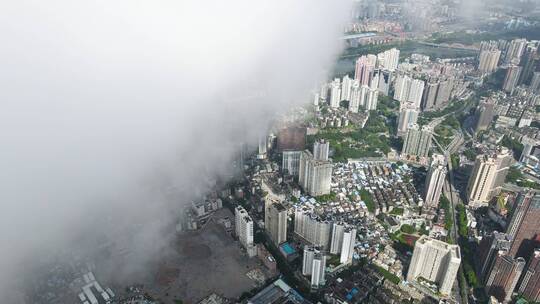 城市平流雾