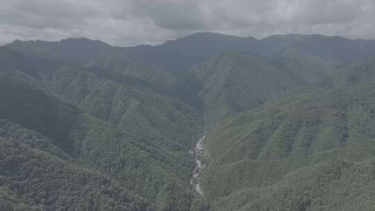 山中林场小溪泉水山间学校绿水青山灰度