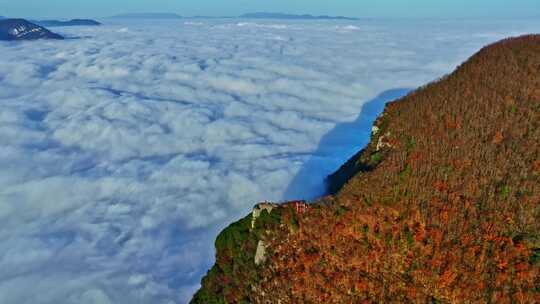 大气航拍巫峡云海红叶