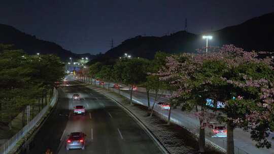 深圳夜晚 夜景 车辆 异木棉 0002