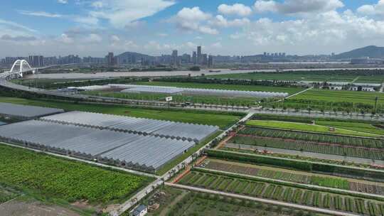 农业基地航拍全景