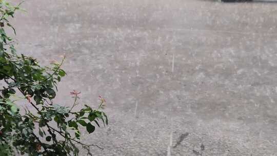 下雨天的水泥路面视频素材模板下载