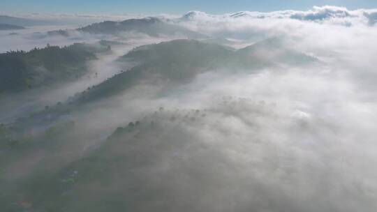 航拍茶山云海