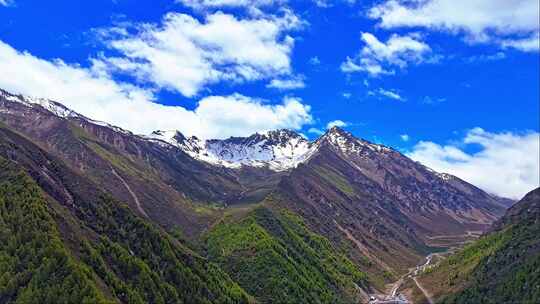 四川川西巴郎山蓝天雪山森岭航拍延时视频