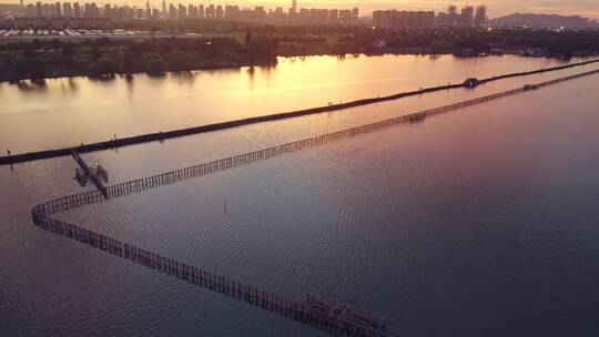 镜湖国家城市湿地中心 犭央犭茶湖晚霞风景