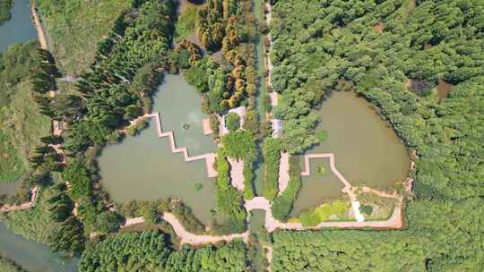 航拍昆明滇池捞鱼河湿地公园