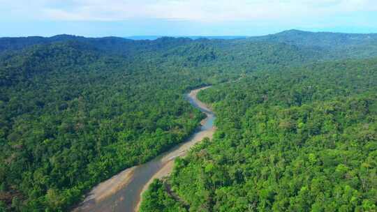 南美洲热带森林中河流的鸟瞰图视频素材模板下载