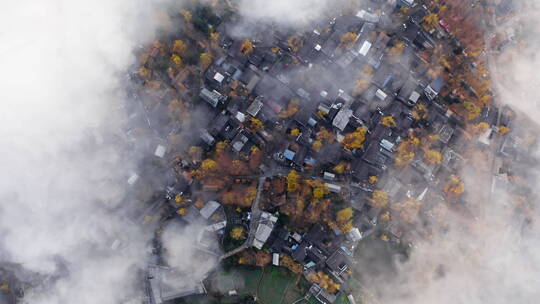 俯瞰云雾中的银杏村落