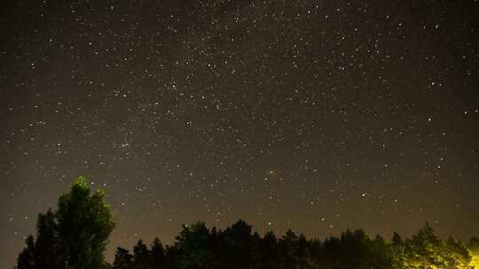 夜空中树木上移动的星星时间流逝