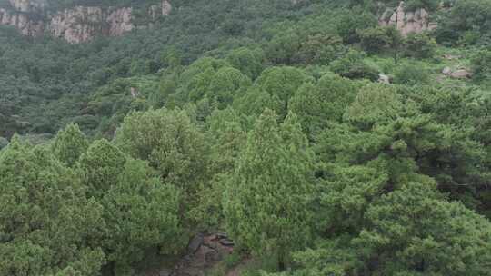 雨后泰山扇子崖，云雾缭绕